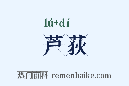 芦荻是什么意思的图片